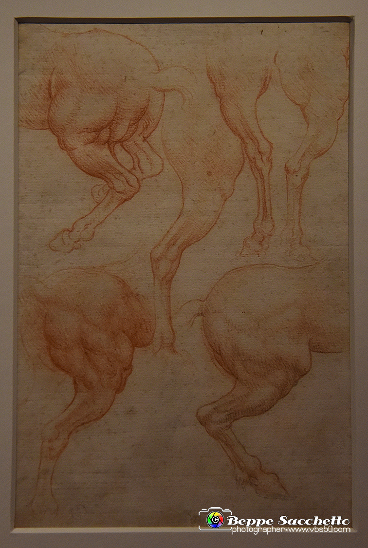 VBS_9754 - Mostra A tu per tu con Leonardo.jpg